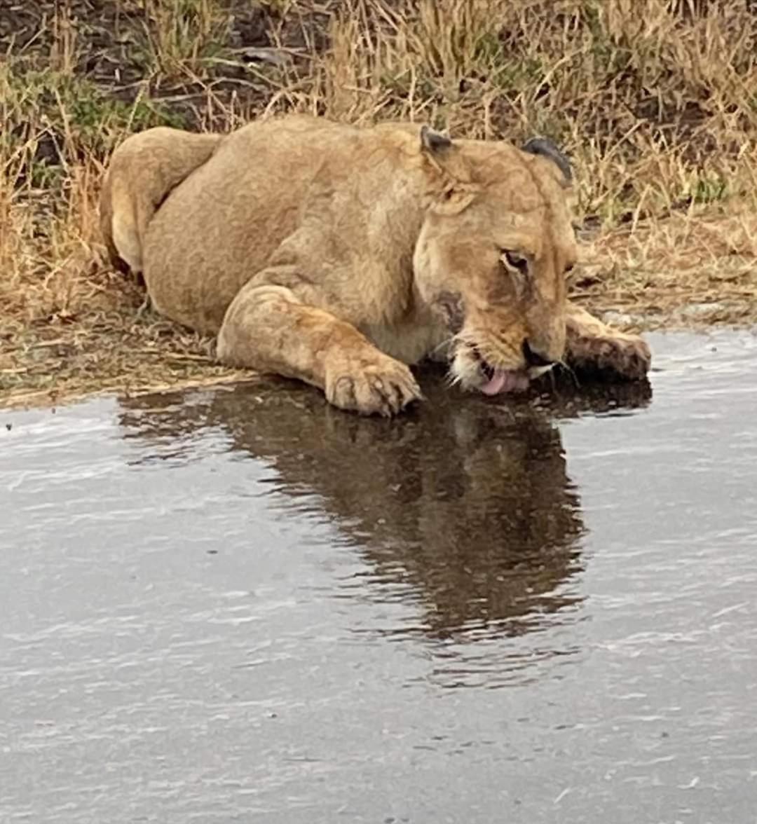 Overnight Stop Before Kruger National Park พาลาบอร์วา ภายนอก รูปภาพ